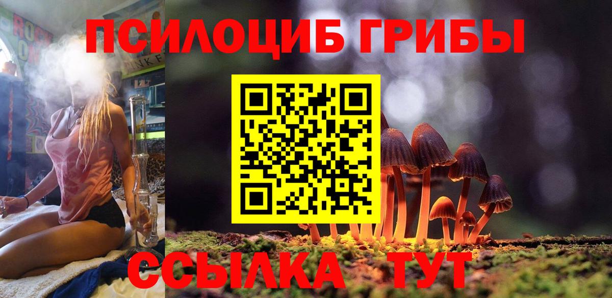 Псилоцибиновые грибы MAGIC MUSHROOMS Йошкар-Ола
