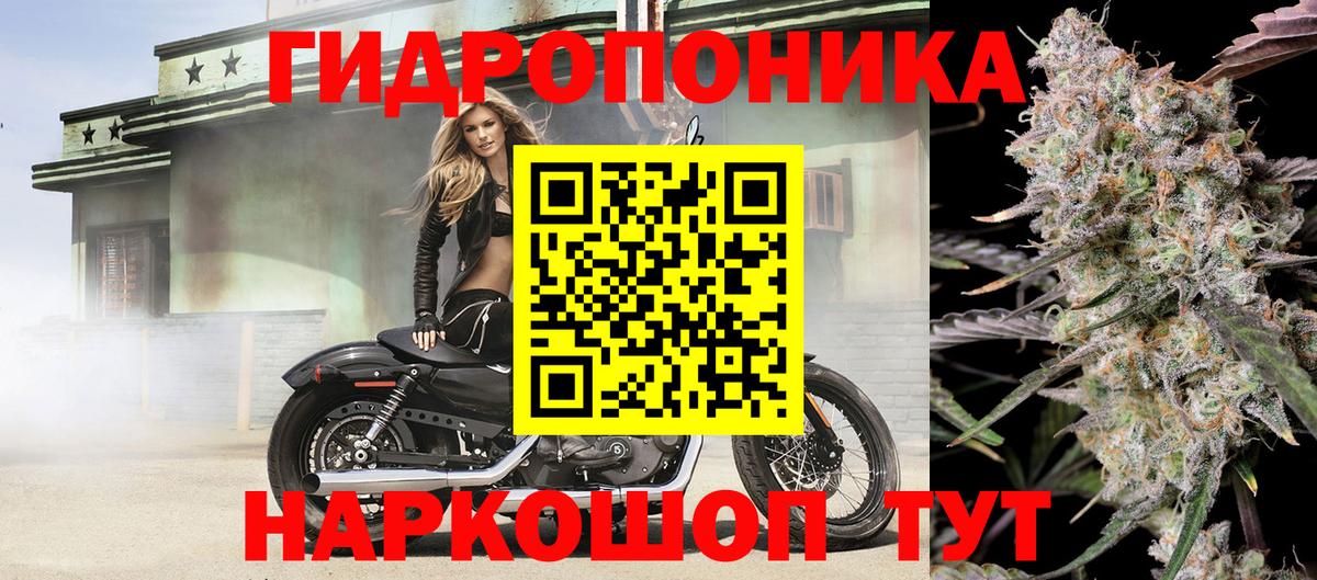 Конопля марихуана  Марихуана White Widow  Вход с VPN  Йошкар-Ола  Бошки марихуана план 